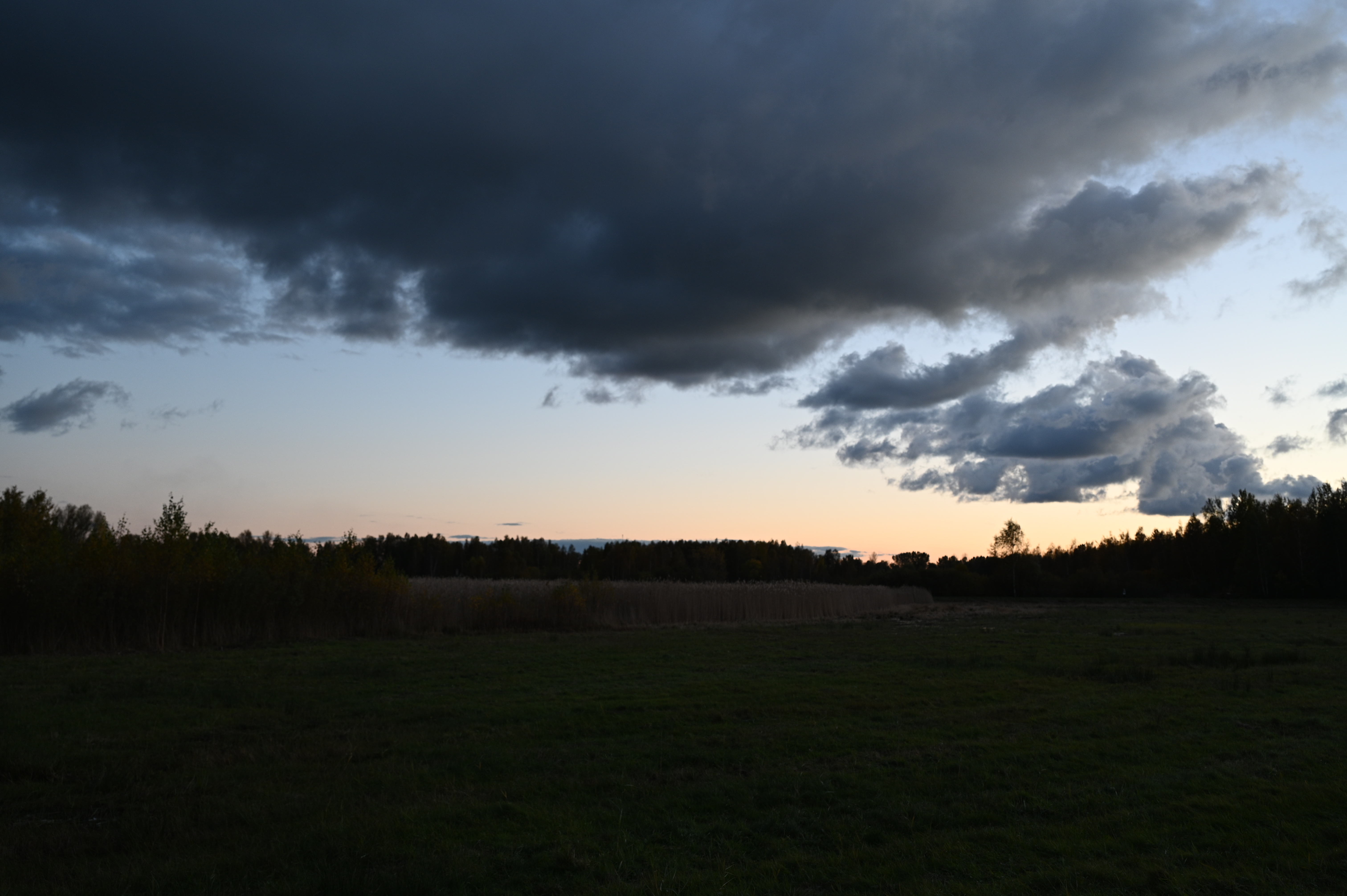 2025/10/18 - walk/DSC_0580.JPG